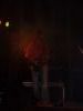 busto/p1010065.jpg